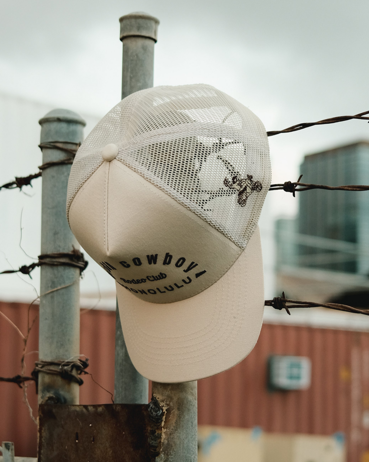 Honolulu Rodeo Club Collection